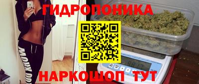 прущие крисы Будённовск