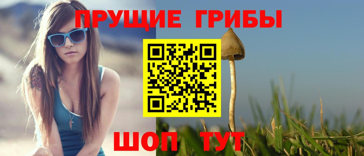 Псилоцибиновые грибы MAGIC MUSHROOMS  Вход с VPN  Стрежевой  Псилоцибиновые грибы MAGIC MUSHROOMS 